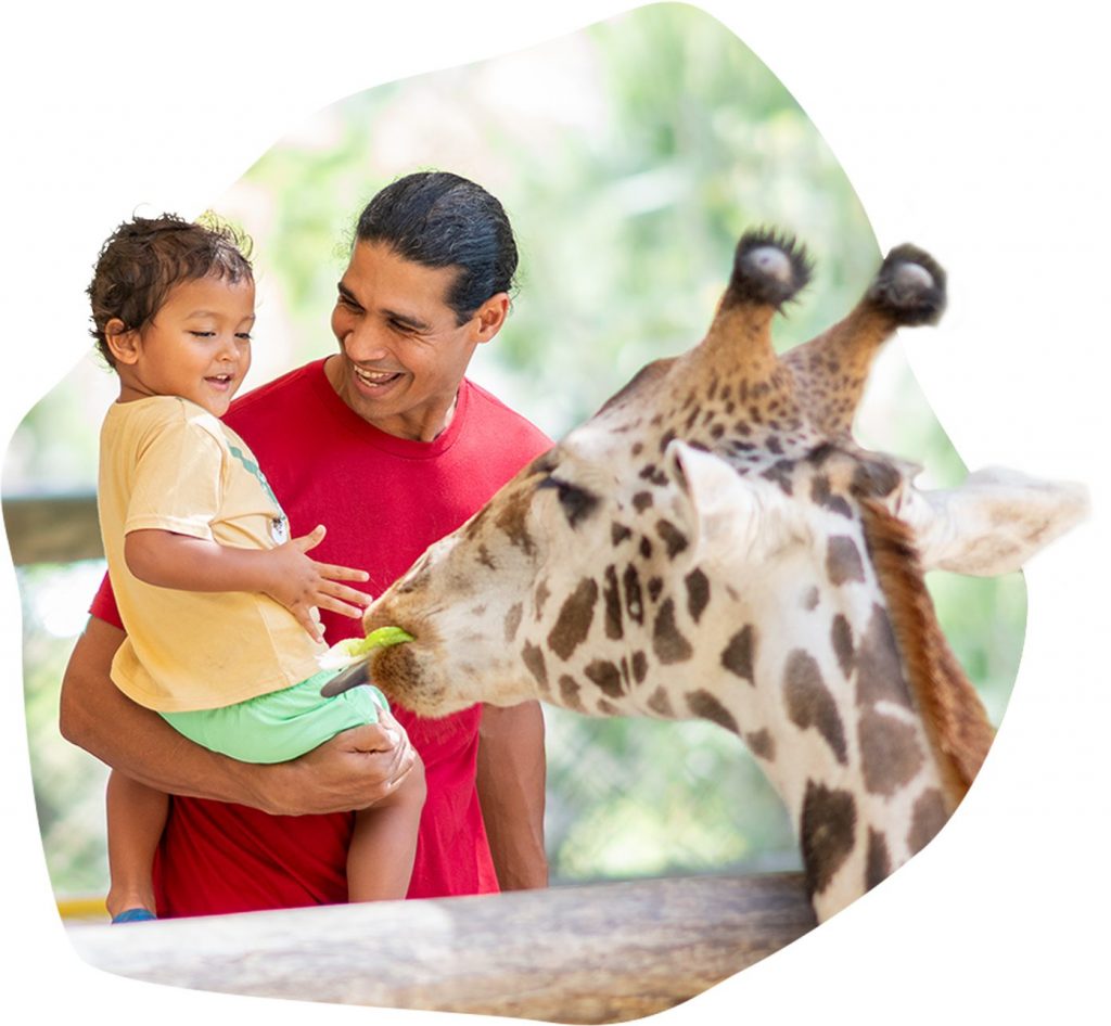 Brevard Zoo Melbourne Florida